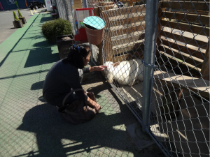 トリアス動物園