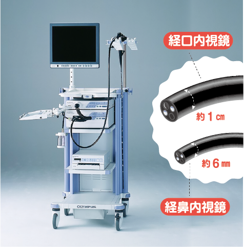 経口内視鏡/経鼻内視鏡