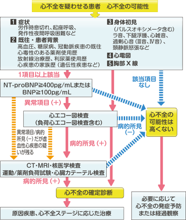 心不全 ガイドライン