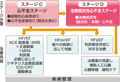 心不全 ガイドライン